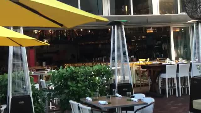 Mila at a restaurant