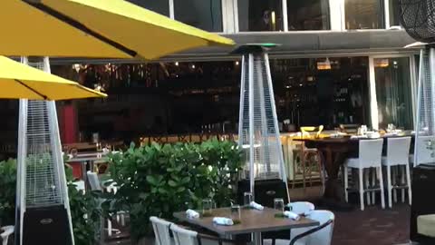 Mila at a restaurant