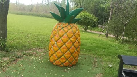 This pineapple is so big