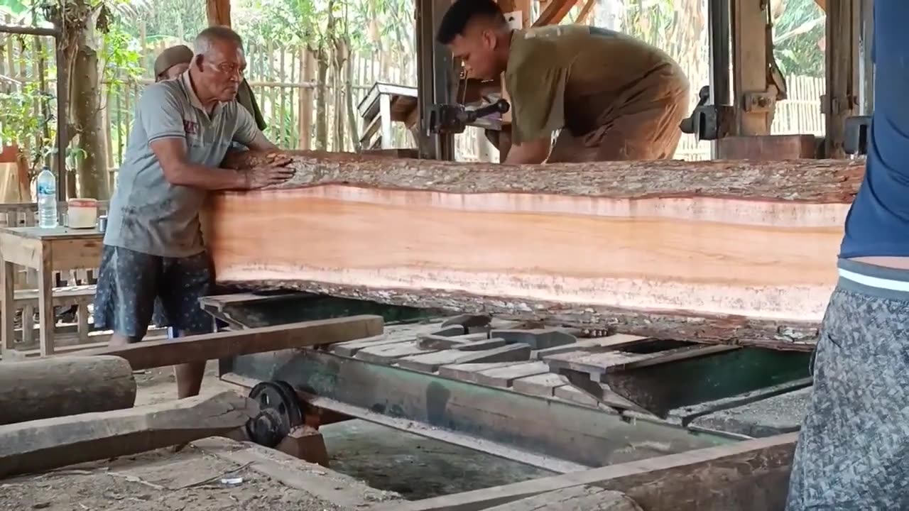 Long And Large, Mountain Mahogany Wood Is Sawn As Material For Stilt Boards At A Sawmill