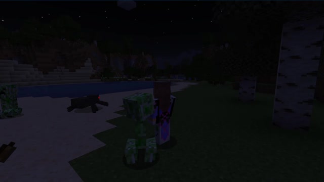 Minecraft1.17.1_Modded 1st outting_5