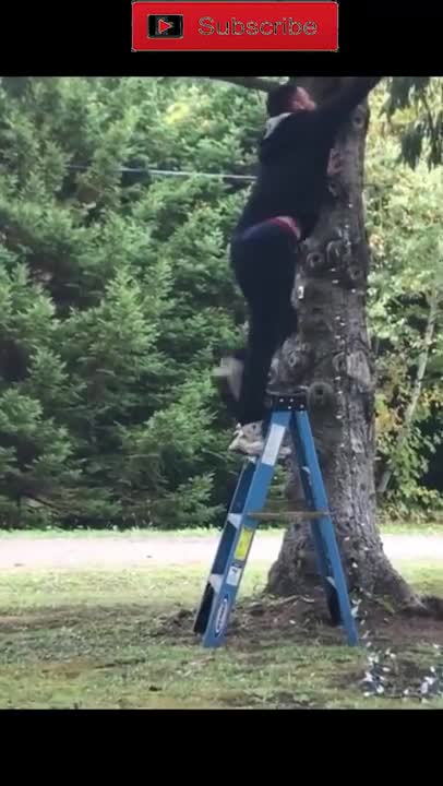 Best Funny Video Clips #shorts (48)