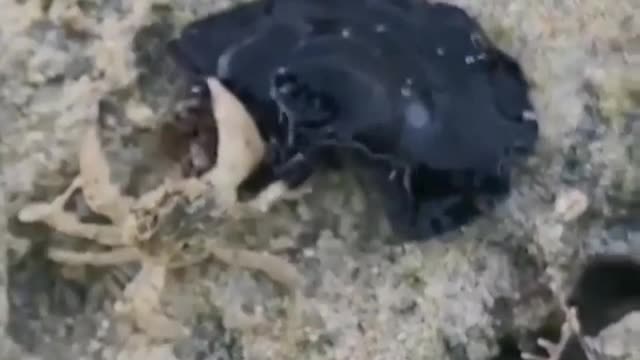 What's this?