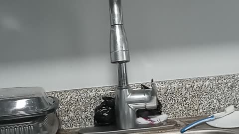 I went into 4 restaurants this week and no one ask me to show papers