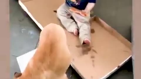 Cute baby video