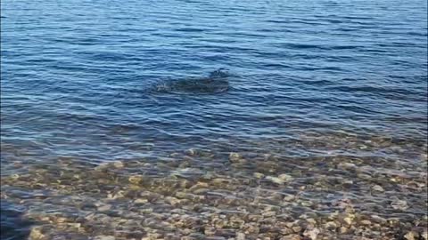 sitting in a beach throwing stone