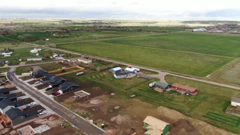 Abelia Progress as of May 2021