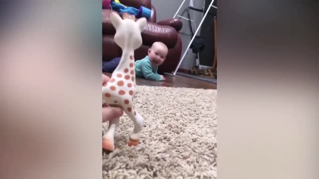 Baby Adorable Reaction