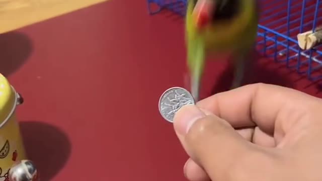 So smart Parrot