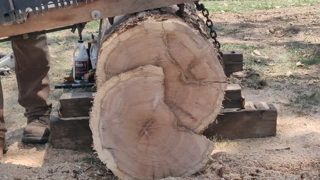 Automated handsaw back from the 1800s? Demo. Exhibit A