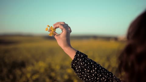 Watch the six most beautiful in the world holding a flower in her hand at sunset