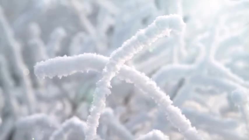 Magical scenery after heavy snowfall