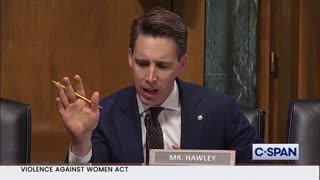 Sen. Hawley TORCHES Deputy AG on FBI Cracking Down on Parents