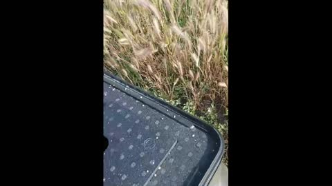 Banda diverzantů 28. mechanizované brigády VSU zničena 12 km od Nikolajeva