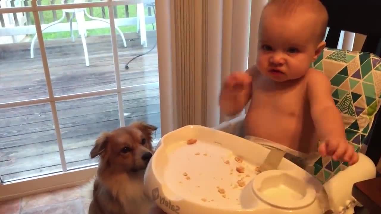 Cutest Babies Play With Dogs And Cats Compilation || Cool Peachy