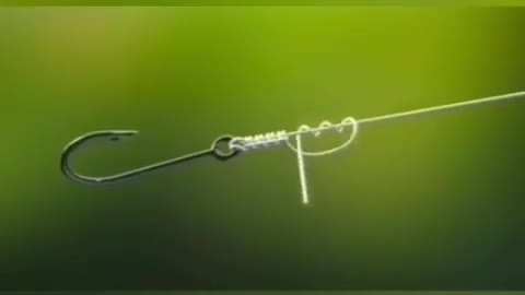 This is a beautiful and charming water-dwelling species