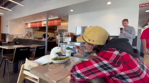 i took my duck to Chipotle