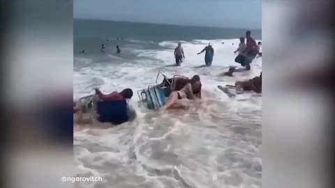 Funny Videos Compilation 2024😂Try Not To Laugh