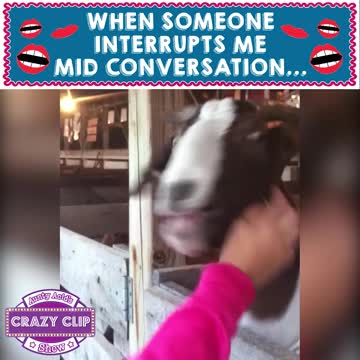 Aunty Acid Crazy Clip Show - Interrupt mid conversation