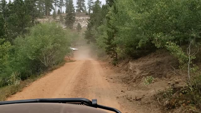 Hauling Cows Up The Mountain 12