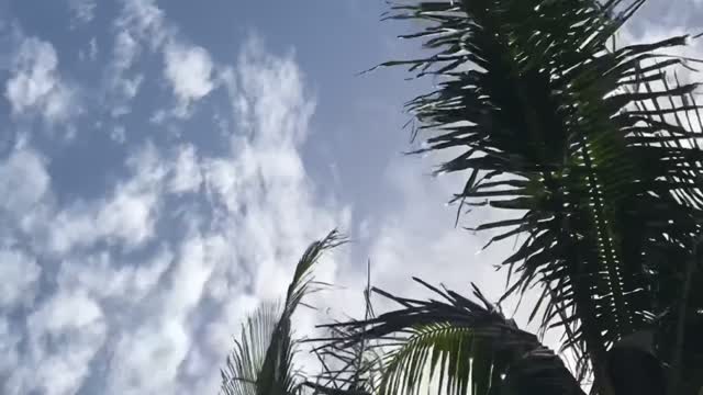 Miami Bayfront - timelapse
