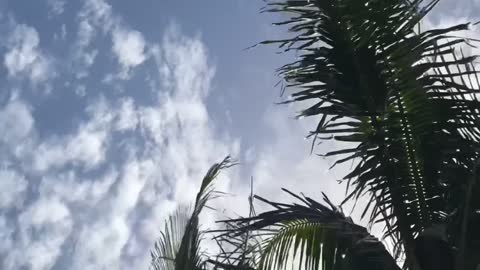 Miami Bayfront - timelapse