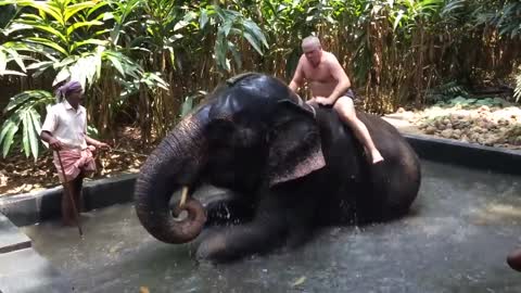 Elephant throws water on dancing man on the back