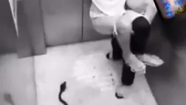 Don’t say you are brave and fearless