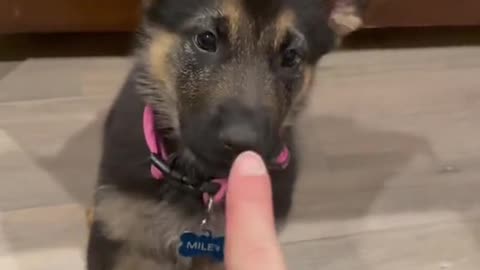Just what to want