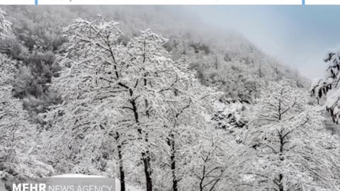 Heavy Snow Blankets Several Provinces Of Iran