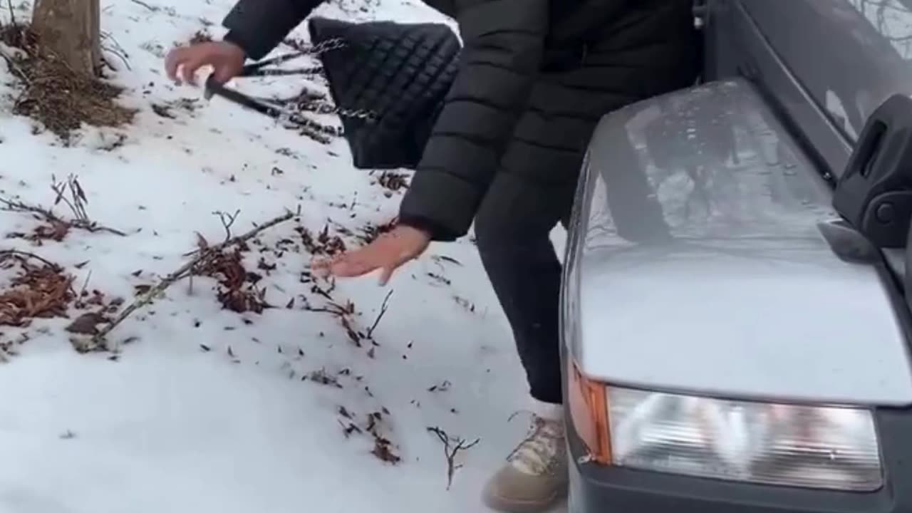 The end 😂😂😂 #funny #fails #shorts #reels #viral #humorexpose