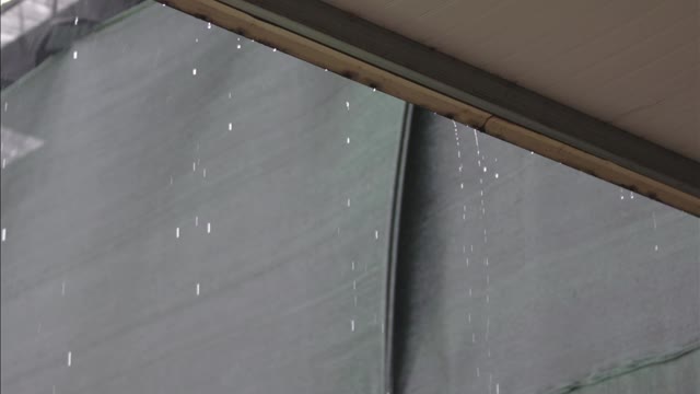 Sound of the rain | So Relaxing