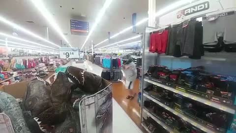 Dinosaurs At Walmart