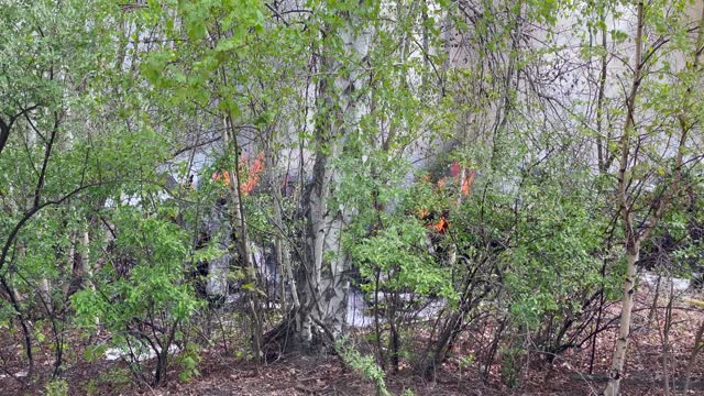 Railroad Ties, Brush Fire In Concord