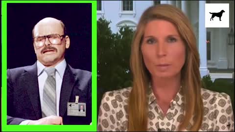 The Typhoid Mary of Disinformation - Nicolle Wallace