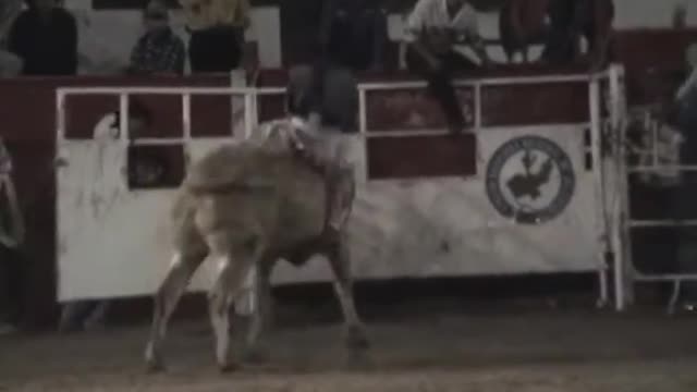 Banda El Pueblito - Hermosísimo Lucero (Las Mejores Montas De Toros)