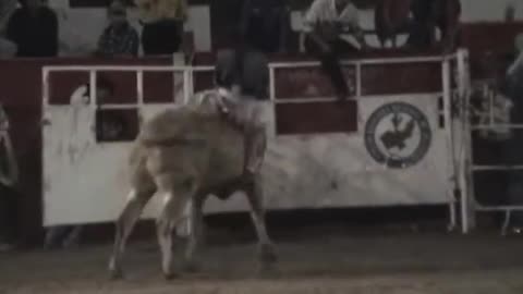 Banda El Pueblito - Hermosísimo Lucero (Las Mejores Montas De Toros)