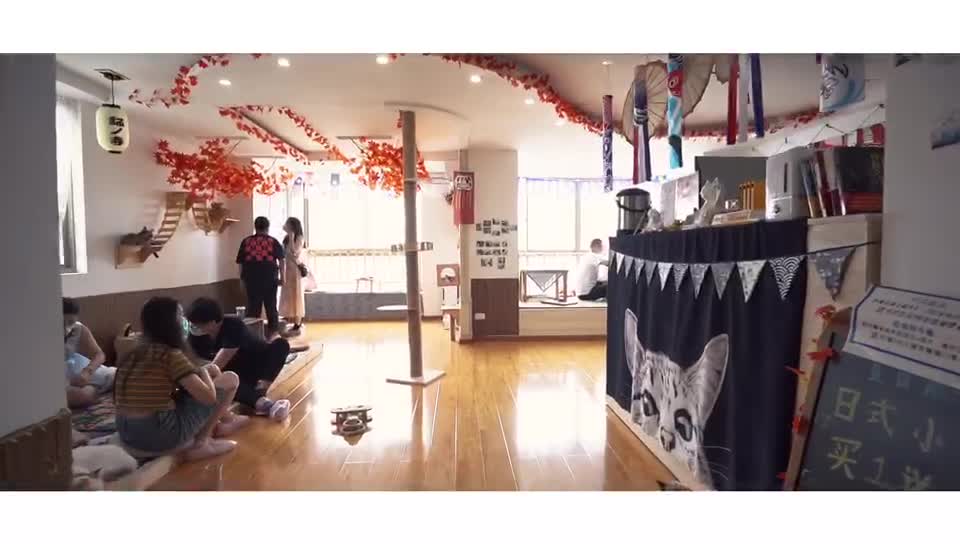 Cat cafe - japan temple style
