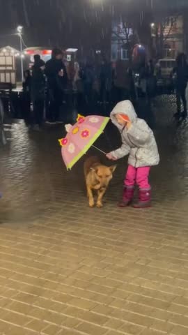 A little girl holds an umbrella over a stray dog ​​in the rain