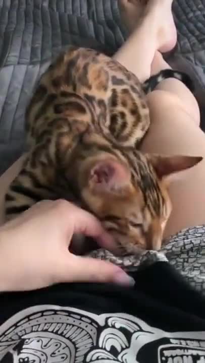 Bigo Live China sexy bigo live Two Girl Dance Bigo Live Hot Show China 🔥2022