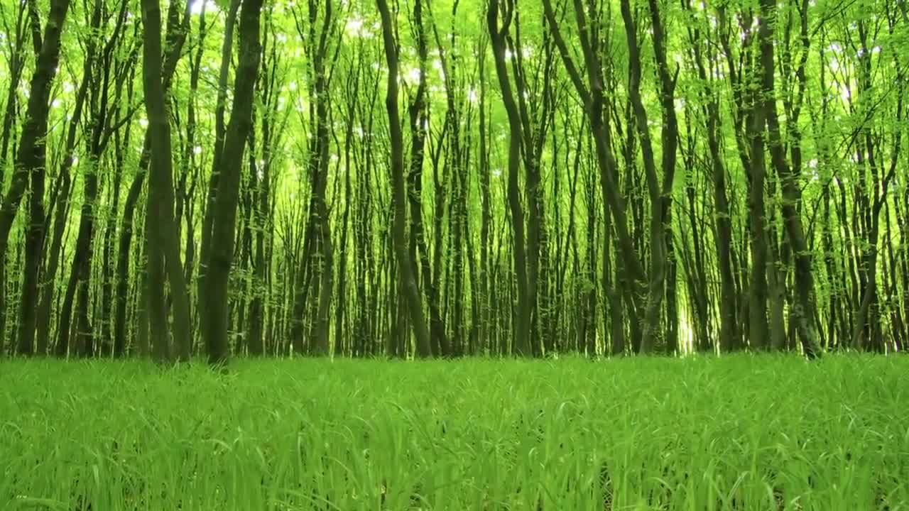 Piano relaxing music