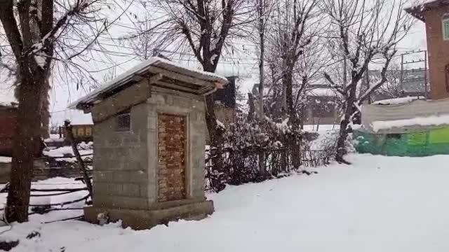 Latest Snow in kashmir So beautiful