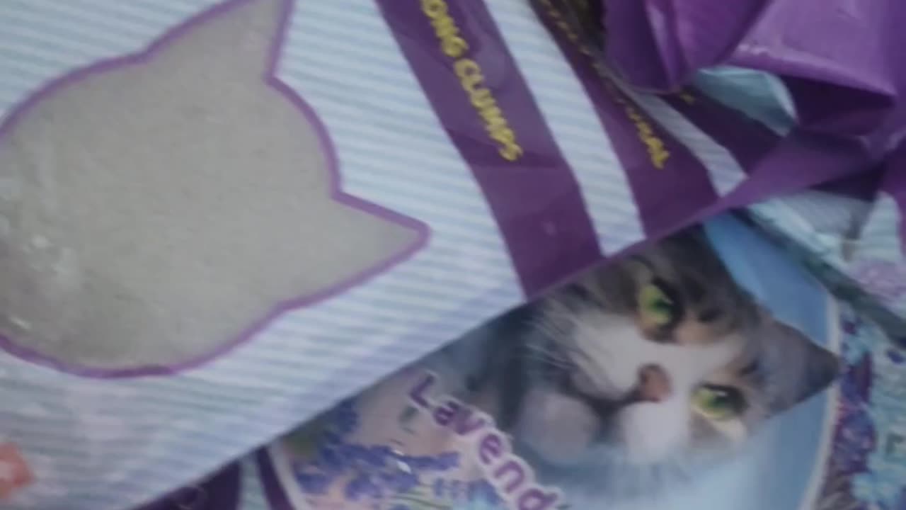 GOLDEN PETS SHOP METTUPALAYAM