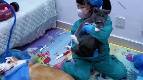 Dog and puppy video