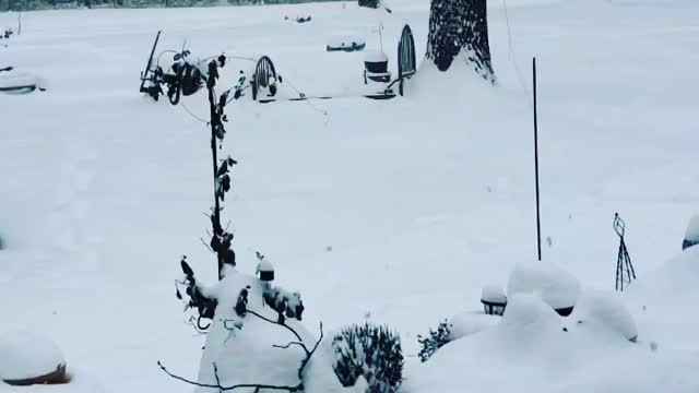 Winter flashback