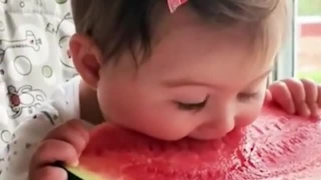 Watch funny baby eating video