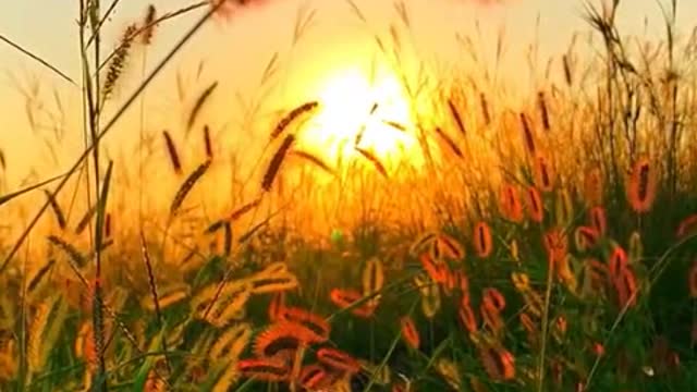 Nature is so beautiful and should be enjoyed