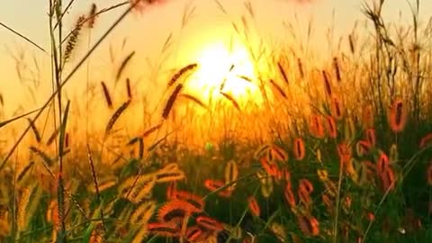 Nature is so beautiful and should be enjoyed