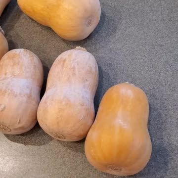 Honeynut Squash Puree for later