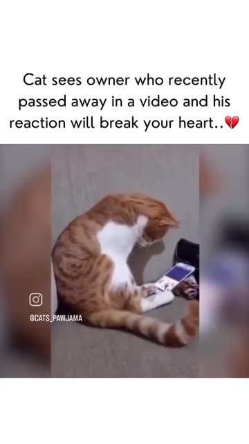 This Poor Baby Breaks My Heart 😪